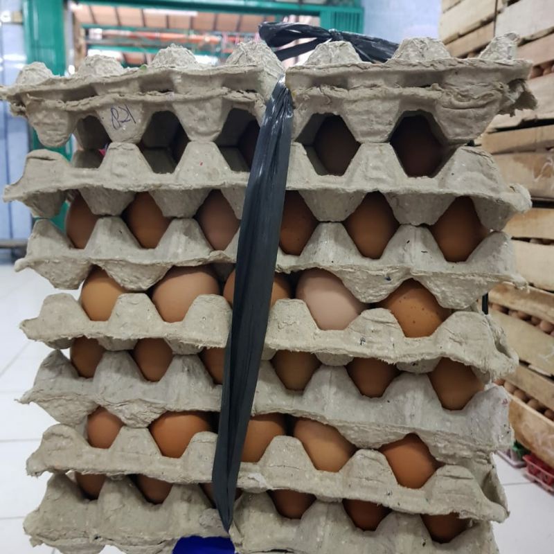 Telur Ayam Negeri  fresh 15 Kg