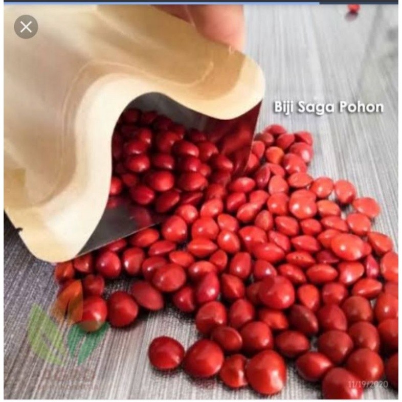 50 gram biji saga merah untuk dekorasi dan kerajinan tangan