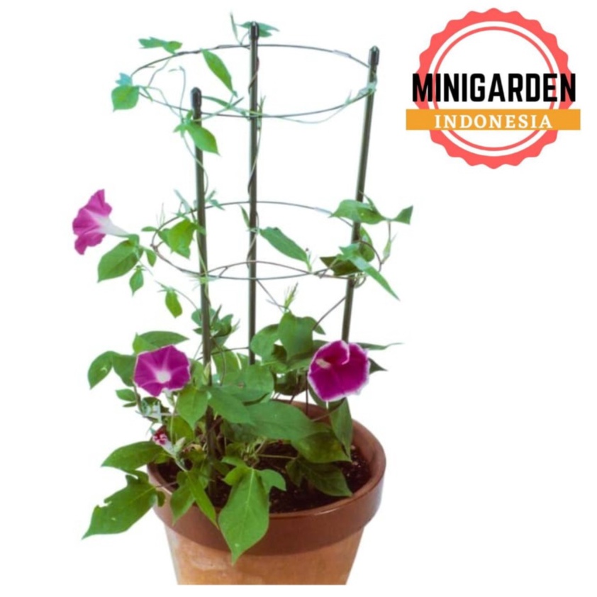 FLOWER SUPPORT 90 CM ajir melingkar green tower penyangga tanaman merambat