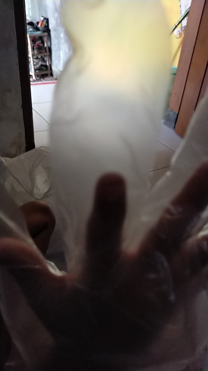 Sarung Tangan Plastik Sekali Pakai Plastic Hand Gloves Disposable