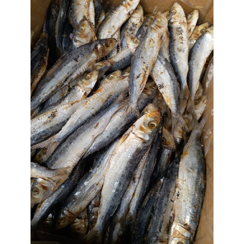 

ikan Asin Tamban 500gr (ukr besar)