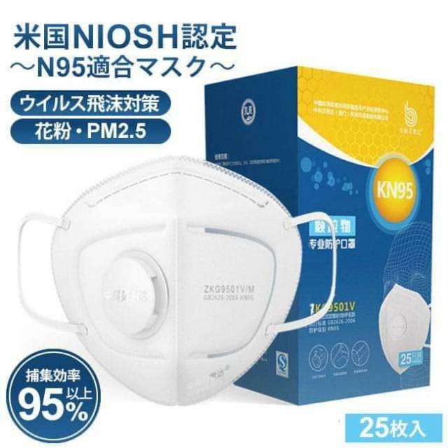 Masker KN95 Filter Type 9501V