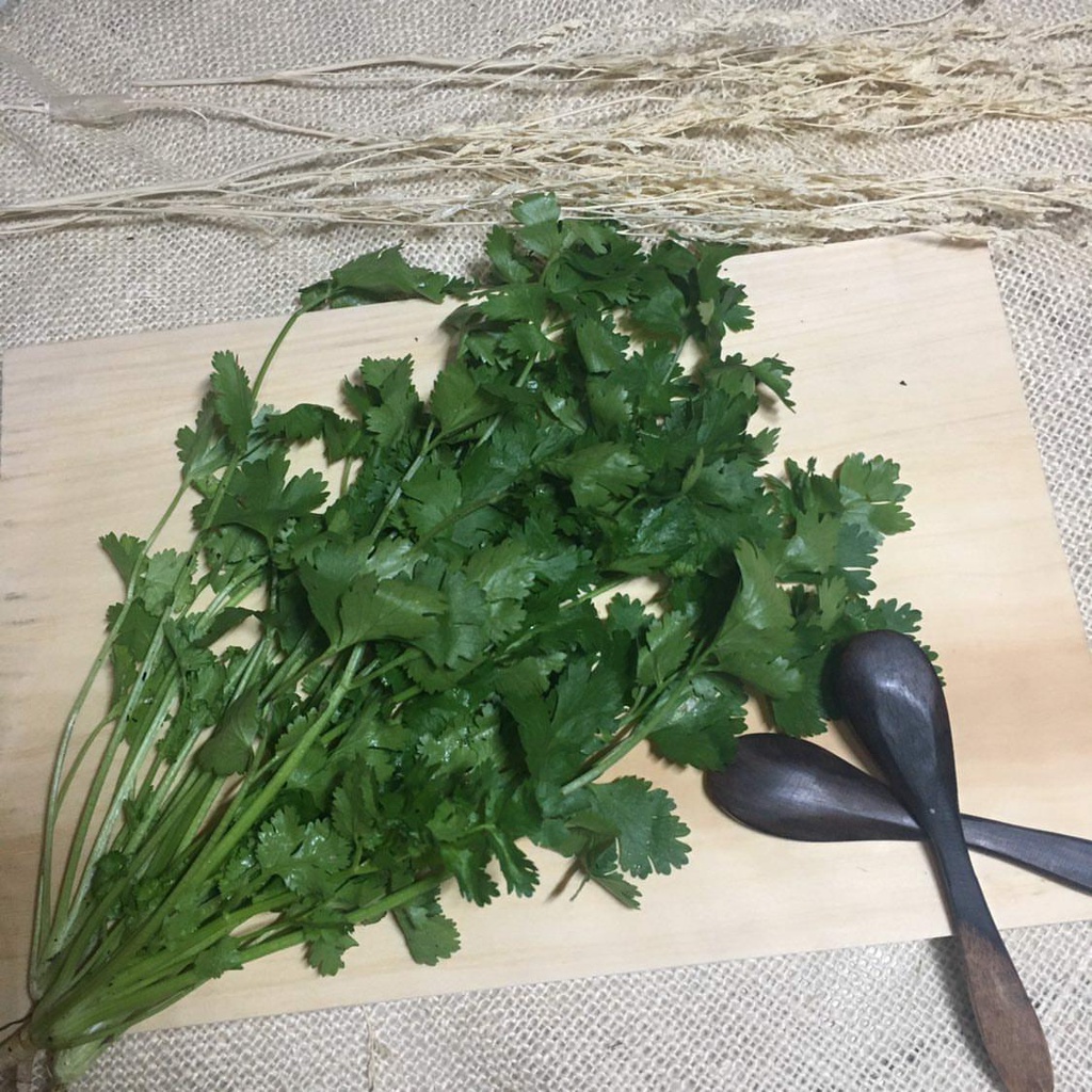 

Daun Seledri Fresh