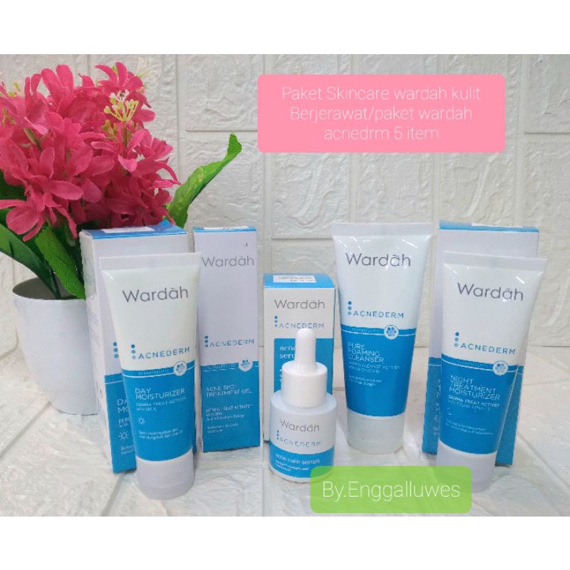 PAKET SKINCARE WARDAH KULIT BERJERAWAT/PAKET WARDAH ACNE DERM 5 ITEM