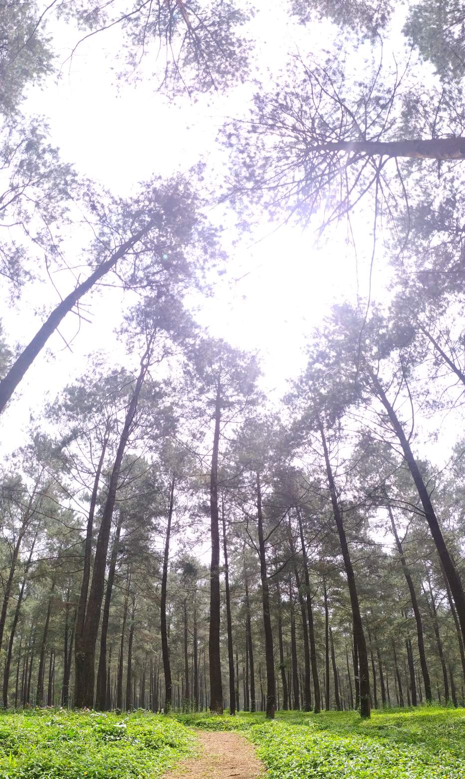 Promo Batik Couple Keluarga Sarimbit Sania Ruffle Batik Ori Ndoro Jowi Motif Cibulan Biru