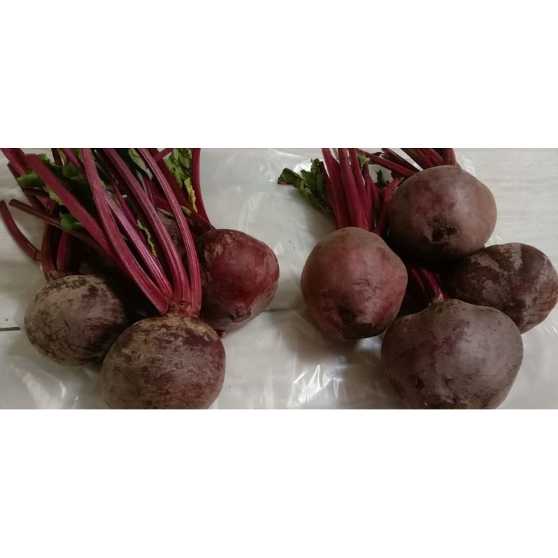 

BUAH BIT / BEET ROOT