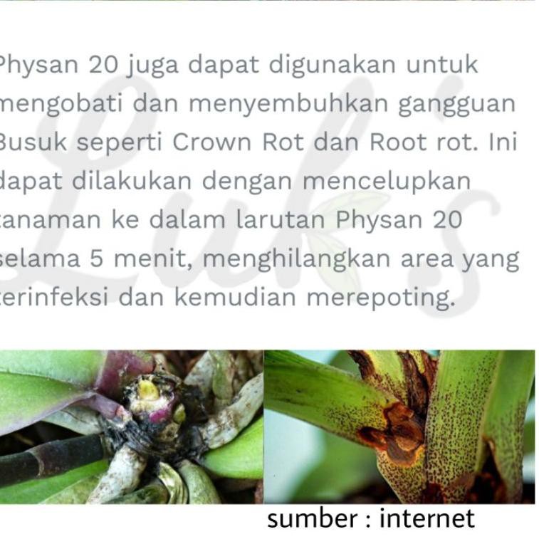 Barrang..branded Physan 20 Bakterisida Fungisida Algaesida Virusida untuk tanamanY73Y01..|