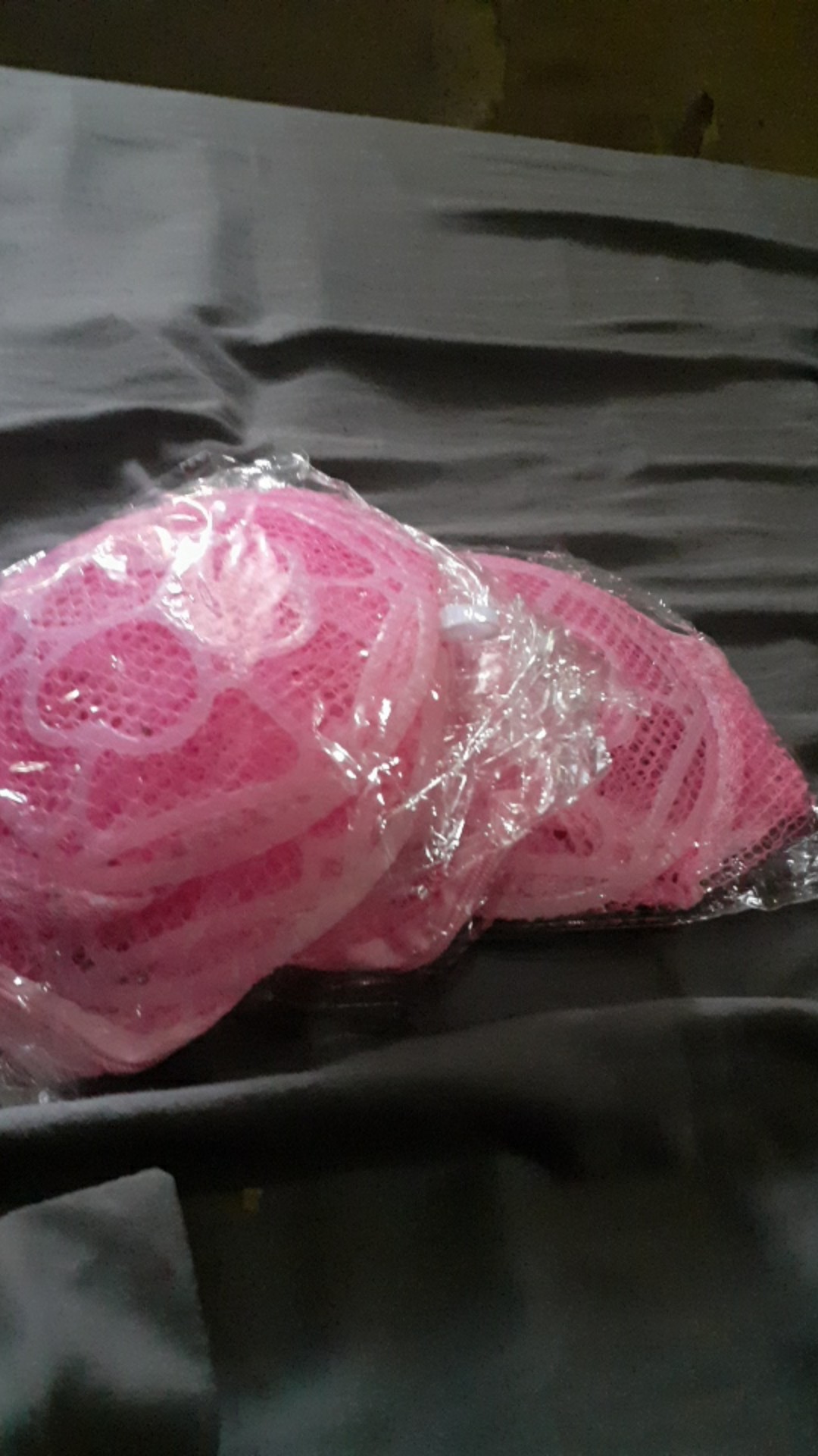 Laundry Bra Bag Kantong Cuci Cucian Pelindung Bra Bh & Cd Celana Dalam