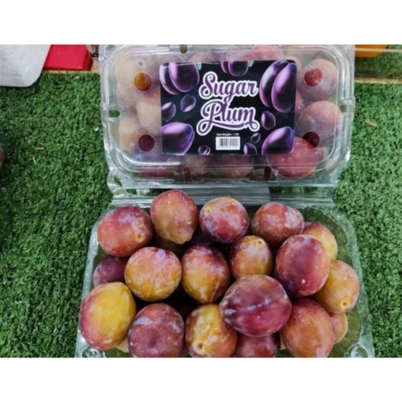 

Buah Cherry plum / plum merah / plum manis / buah plum 1Kg