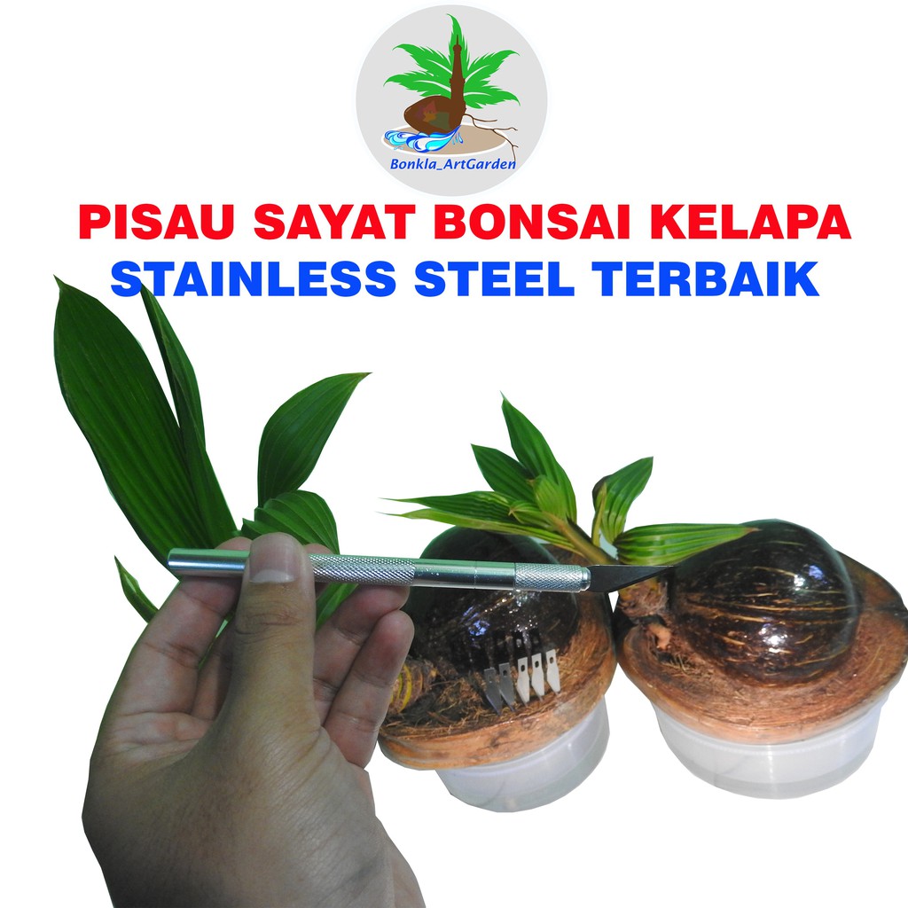 PISAU SAYAT BONSAI KELAPA + 6 MATA PISAU
