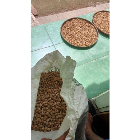 

Kapulaga / Cardamom kiloan kualitas baik.
