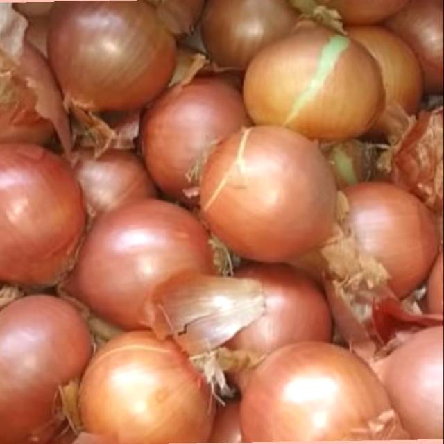 

Bawang bombay 23.000/kg