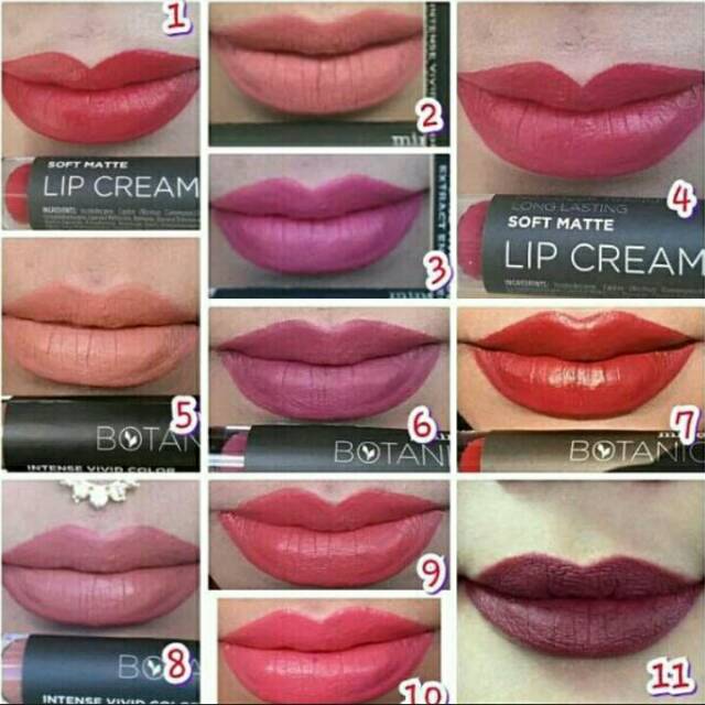 Soft matte lip cream mineral botanica