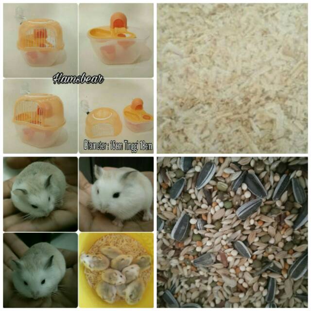 PAKET HAMSTER ROBOROVSKI