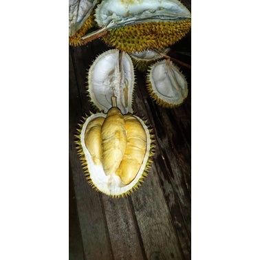 

durian montong petruk bawor