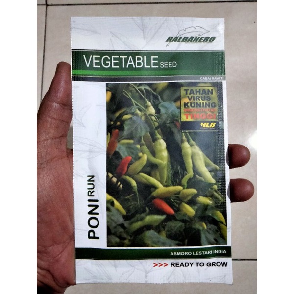 Benih Cabe Rawit PONIRUN 10 Gram Halbanero - Bibit Cabai Rawit PONIRUN - Crm  Lestari Mhanu
