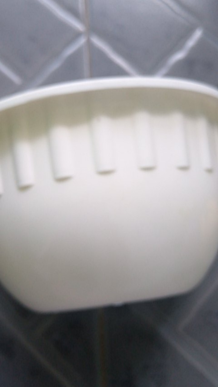 Pot Bunga Tembok Putih 19cm - Putih