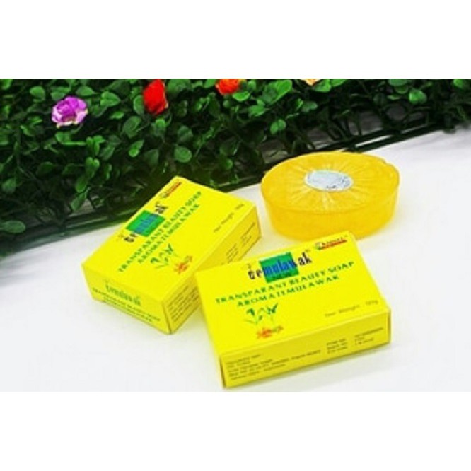 

Terlaris KINORI OVAL - Sabun Temulawak Kuning New Soap Holo Original - BPOM
