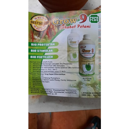 pupuk organik PGPR 9plus