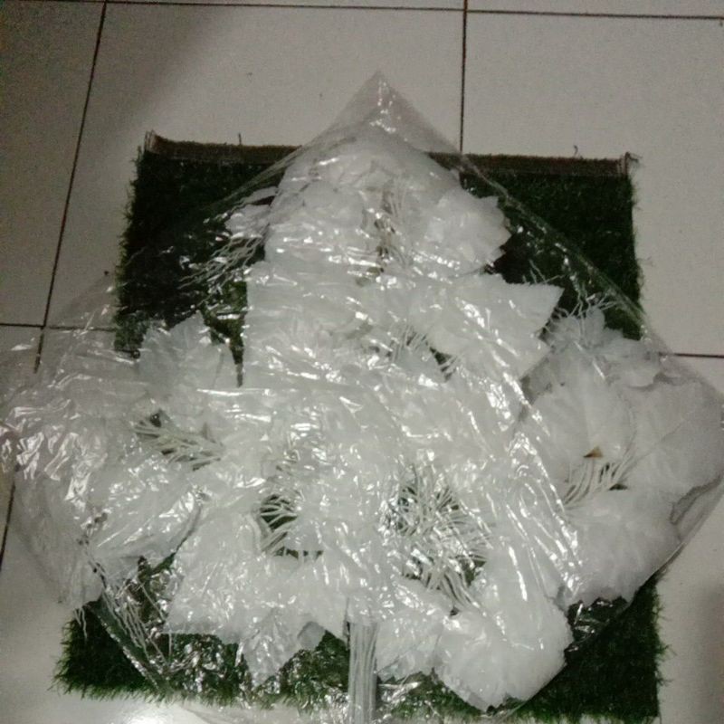 daun anggur putih
