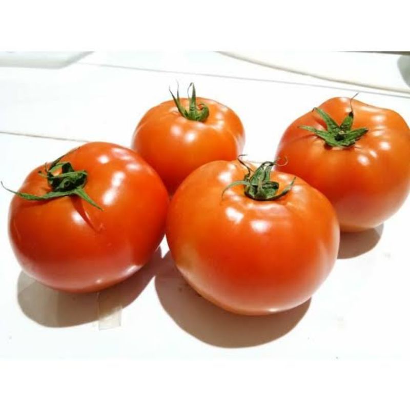 

Tomat Beef 500gr