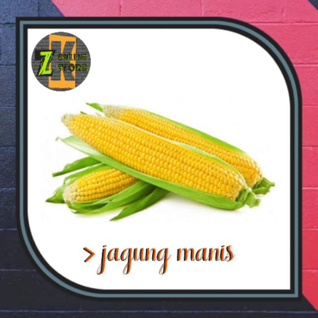 

Jagung manis 1 buah