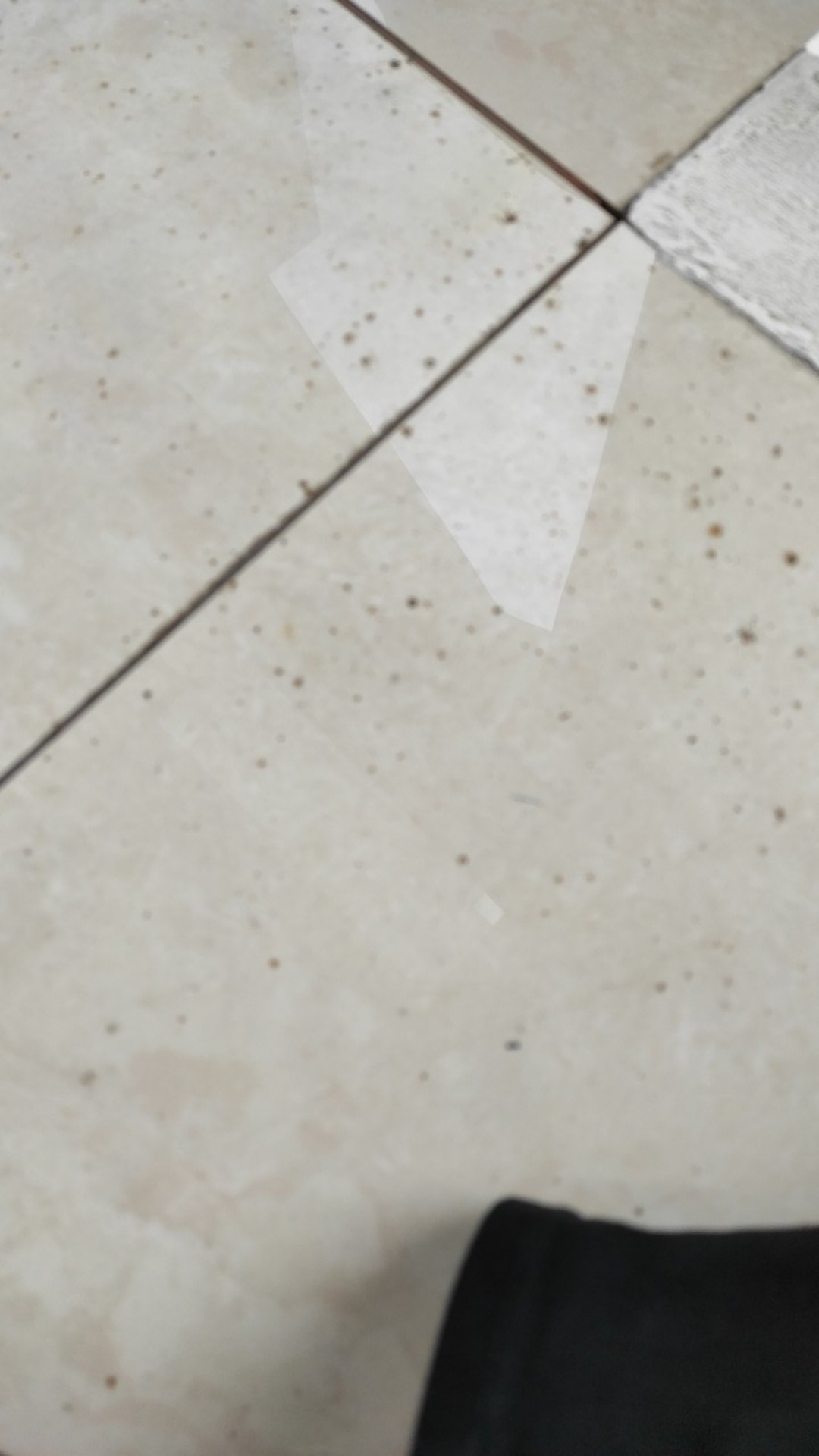 Sikat Toilet Atau Toilet Brush