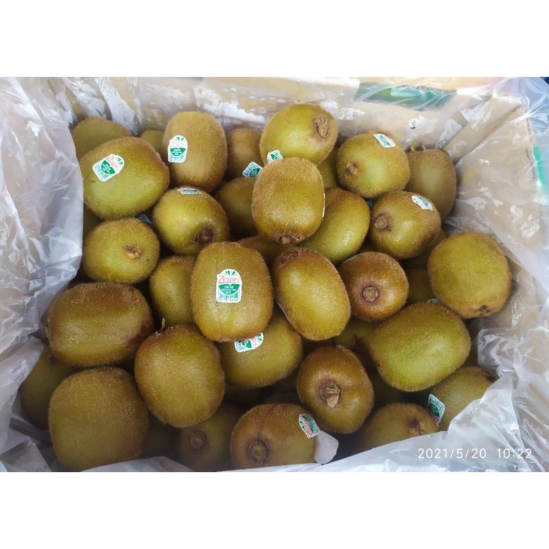 New BUAH KIWI HIJAU ZESPRI KIWI GREEN NEW ZEALAND GROSIR 500GR