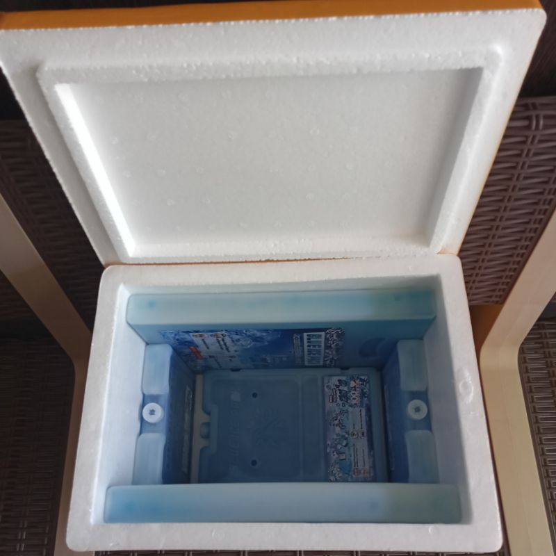 Paket Box Styrofoam BM + Ice Pack  box Ice Cream / Box Ikan