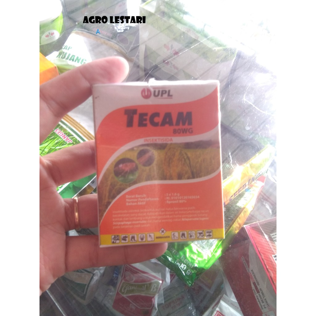 Tecam 80WG Pembasmi hama penggerek batang dan wereng