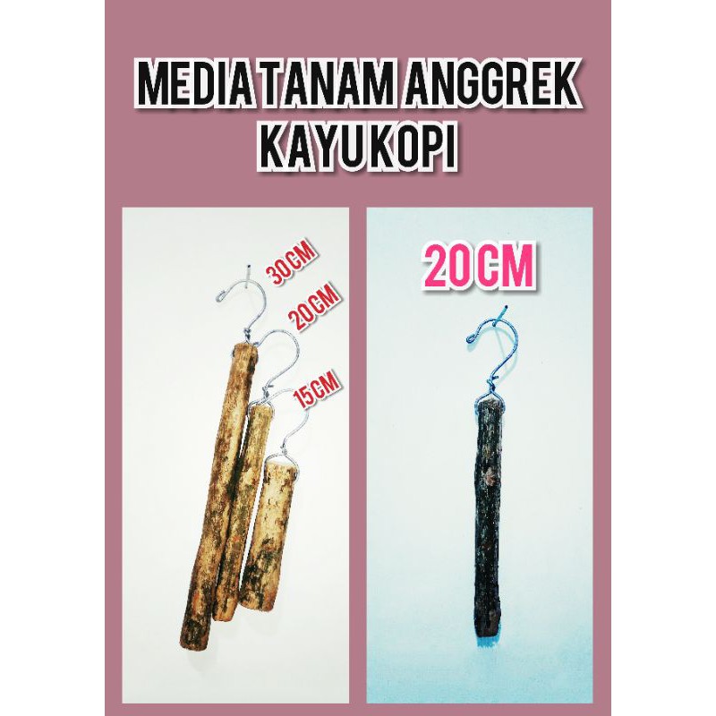 media tanam anggrek kayu kopi pot tempel pot gantung