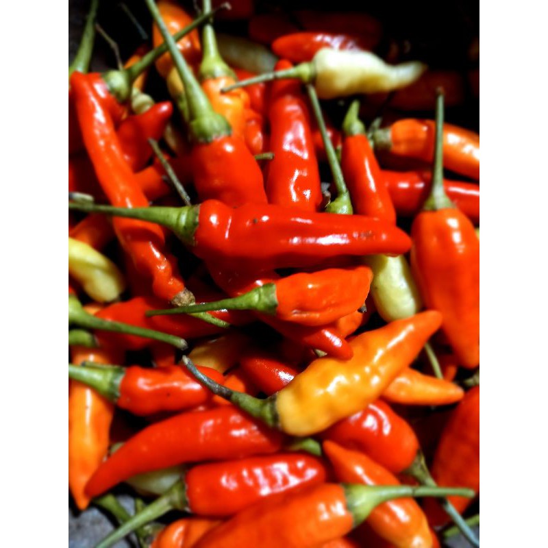 

cabai rawit merah..harga tertera 250g yah