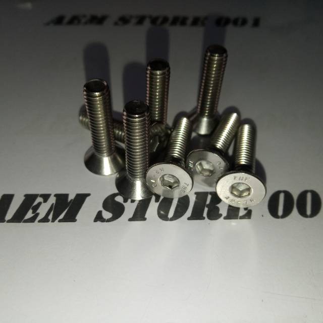 Verseng L M6 X 25 (2,5cm) stainless 304