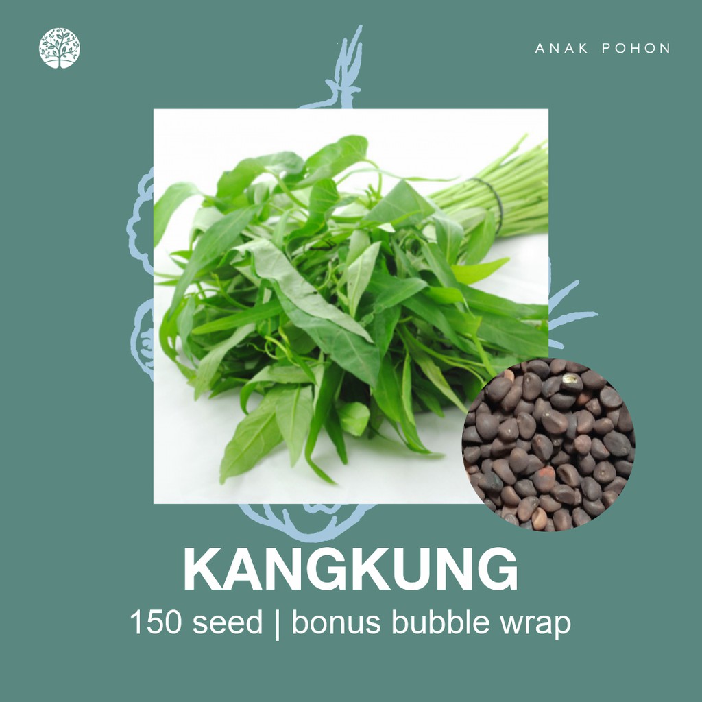 SERBA SERIBU - Benih Bibit Biji - Paket Benih Sayuran DAUN Termurah Kangkung Sawi Selada Seledri Kol-Kangkung