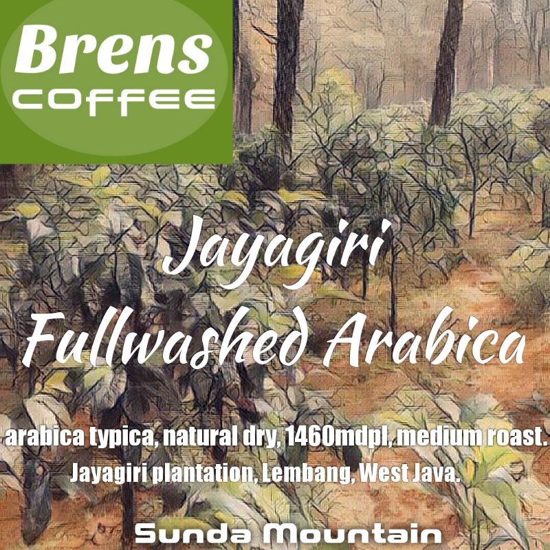 

Arabica Jayagiri Fullwashed Kopi Coffee Specialty 250gram