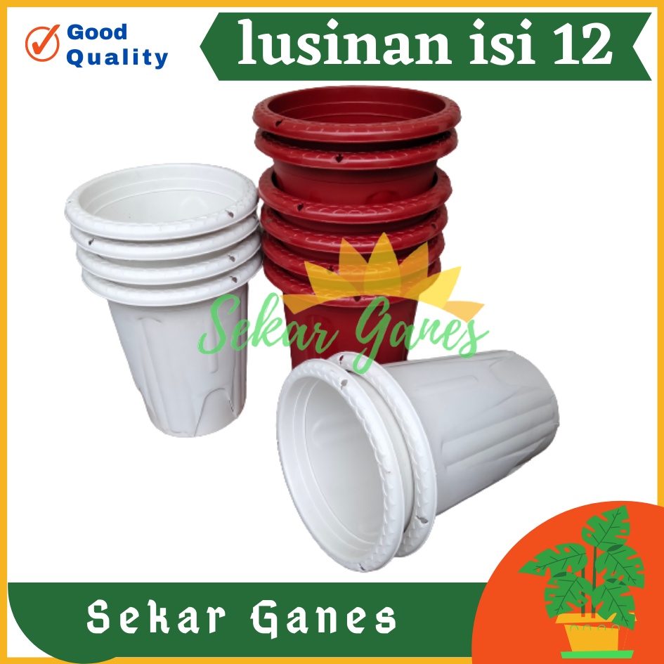 Sekarganes Lusinan 12pcs Pot Golden Erna 20 Putih Bening Transparan Hitam Merah Bata Merah Coklat Terracota Terracotta Mirip Lusinan Pot Yogap 18 19 25 Murah Putih Coklat Merah Bata Bening Transparan Murah Pot Bunga Tinggi Pirus Tegak Bagus Tebal