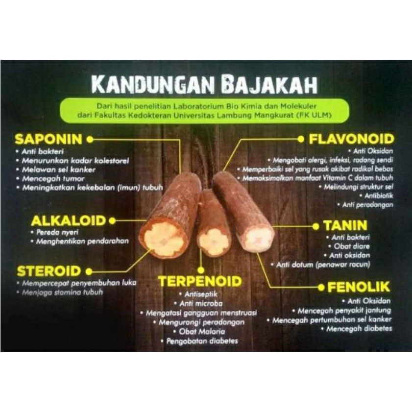 Akar Bajakah kalalawit kering 100 gr Siap Seduh (100% Original)