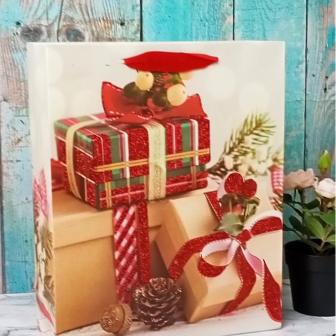

PAPER BAG TALI GOODIE BAG GIFT / CHRISTMAS NATAL DECORATION SIZE L