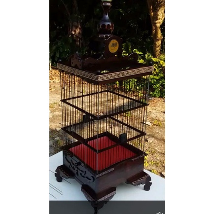 sangkar burung ciblek