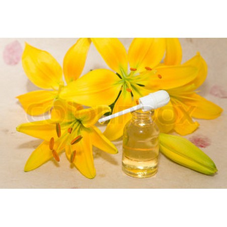 Lily Essential Oil Minyak Atsiri Bunga Lili Bakung