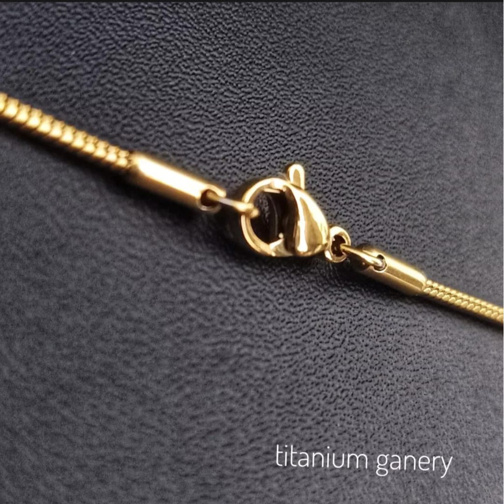 Ganery Kalung Titanium + Liontin Gold Anti Karat/Luntur Selamanya