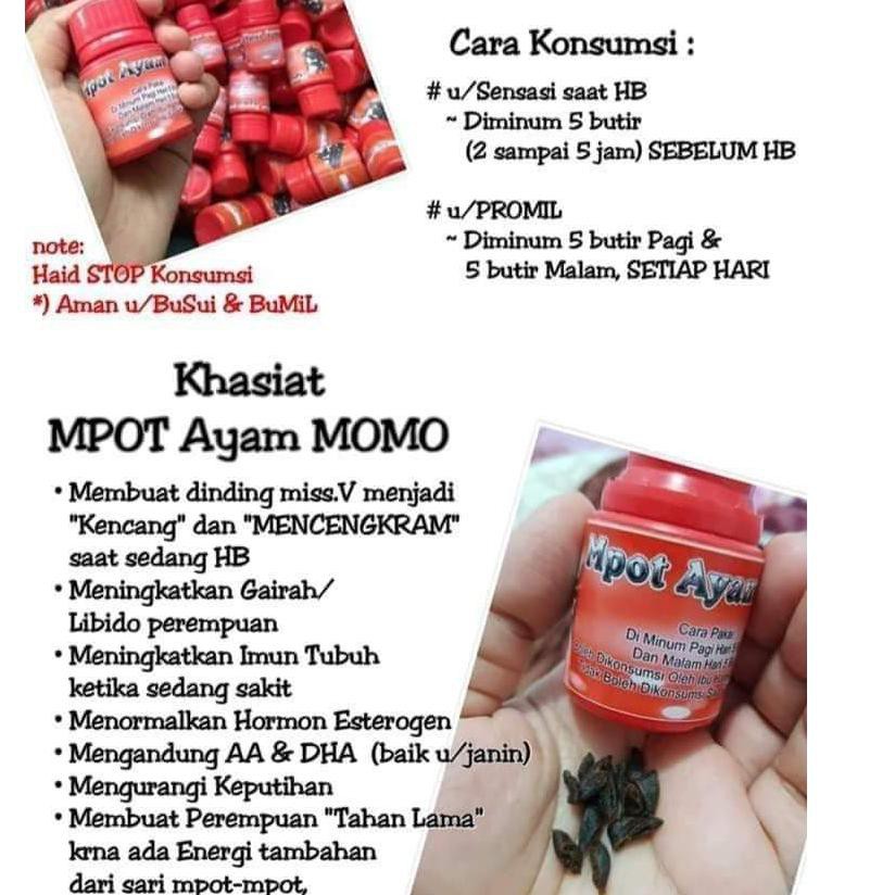 

★★ LQ8 [[terlaris]] mpot ayam momoidea Best Produk