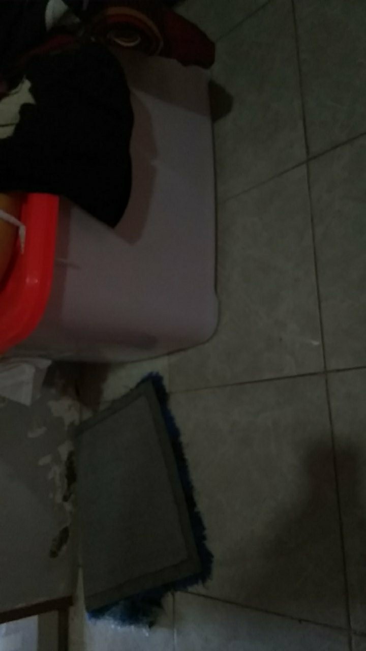 Container Box Cb 150l Ezy Box Container  Cb 150 Liter