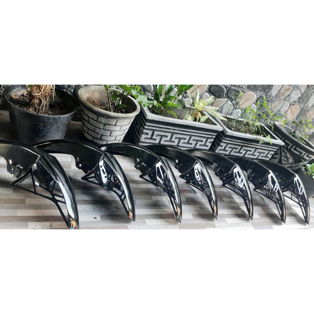 selebor cs1 coak