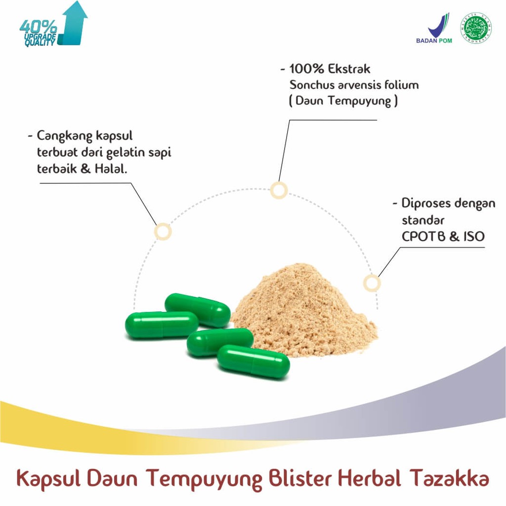 Obat herbal mengobati batu ginjal melancarkan buang air kecil dengan blister kapsul tempuyung