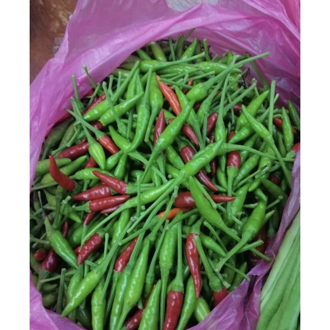

cabe rawit hijau 100gr