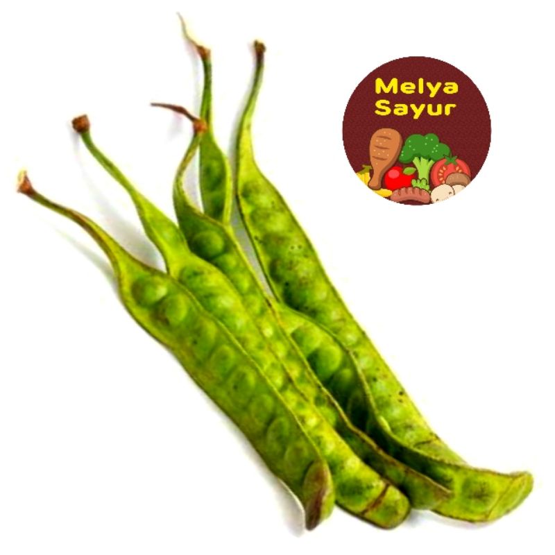 

Sayuran segar - Pete Petai 1 papan - Melyasayur