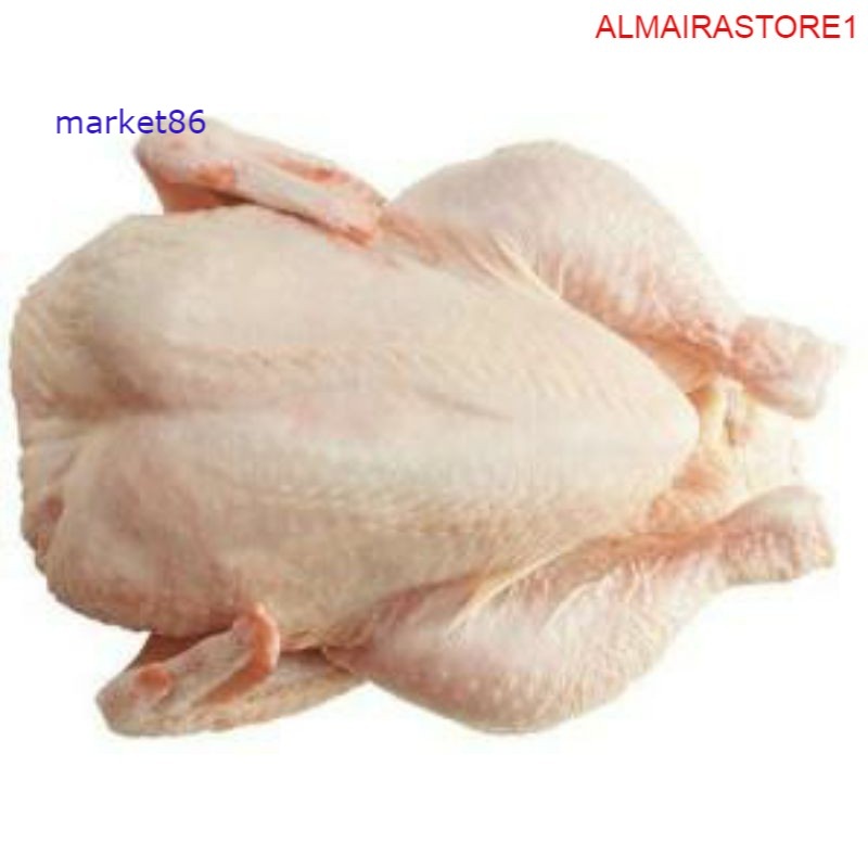 

Grosir Ayam potong murah - Market86