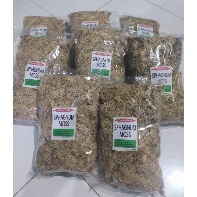 Spagnumm moss putih premium chili original- spagnum moss -carnivora plant - spaghnum moss anggrek