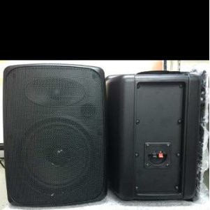 Speaker Crimson